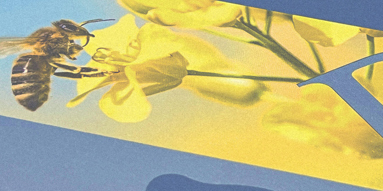 banca popolare pugliese company profile 2023 mediamorfosi