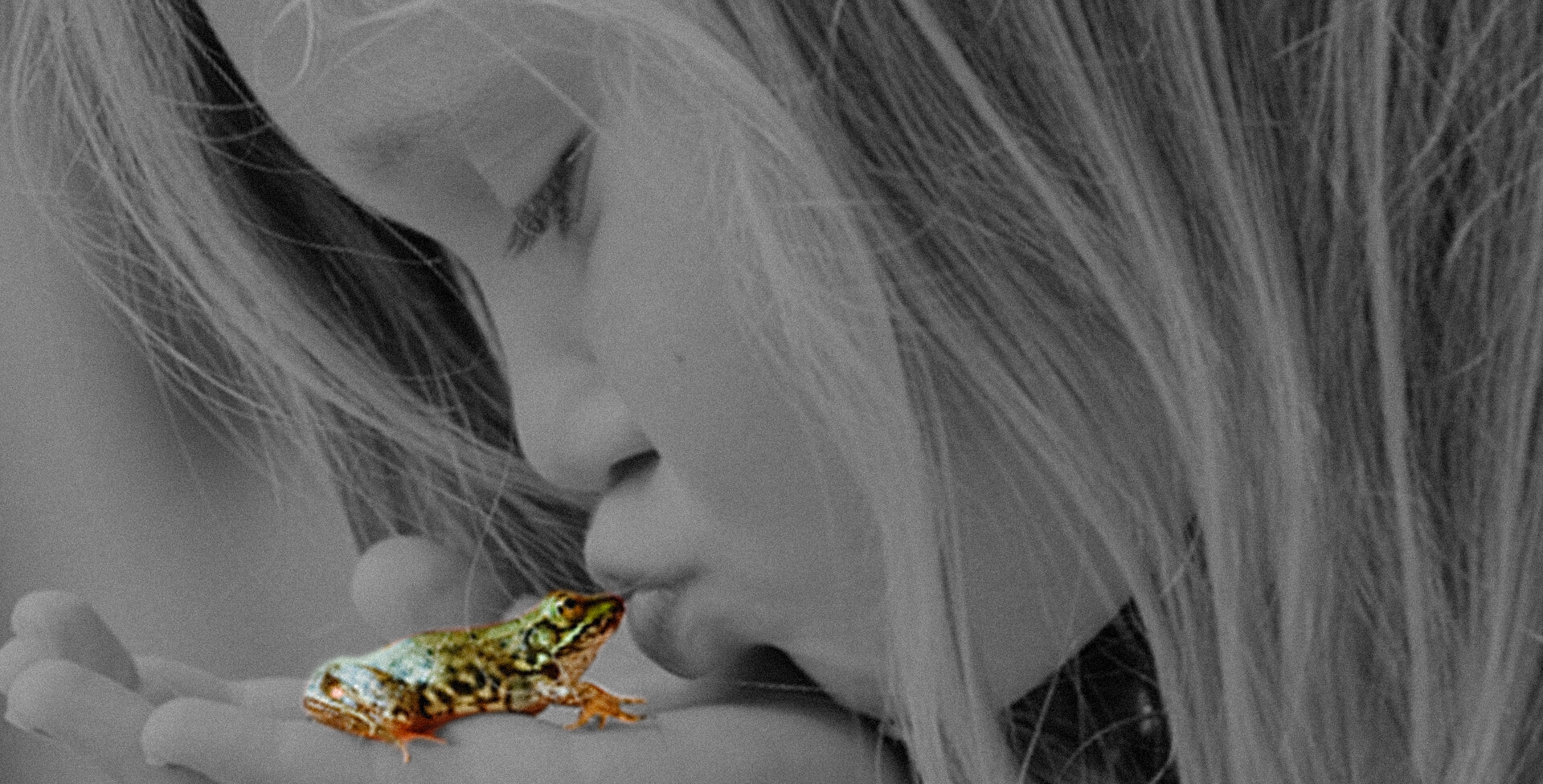 mediamorfosi gallipoli slider bimba rana